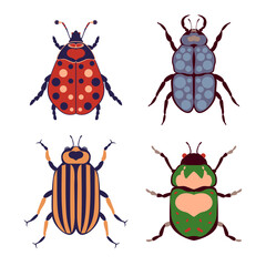 Beetles set, bugs with abstract pattern vector illustration on white background