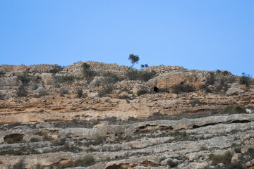 Natural walk next to the júcar river, popular cave houses, carved into the mountain,  region of La Manchuela, in Alcalá del Júcar (Albacete, Spain).