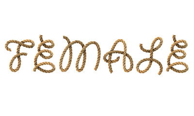 3D render of the text 