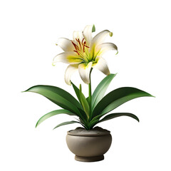bouquet of lilies isolated