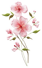 Fototapeta na wymiar PNG Flower blossom embroidery petal plant