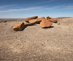 Pieces of red concretions on the horizon at Red Rock Coulee near Seven Persons, Alberta, Canada