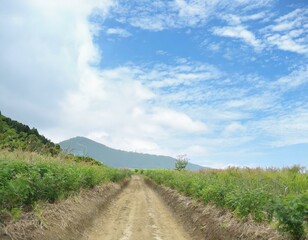 Relaxing peaceful country road.