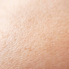 skin texture with hairs and small pigment spots close-up