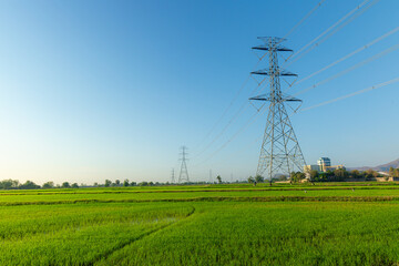 Rice fields and high-voltage electric poles, Rice field with Arrangement of High voltage pole, Transmission tower on rice field in countryside at sunset. The sun rise over rice field and tower electri