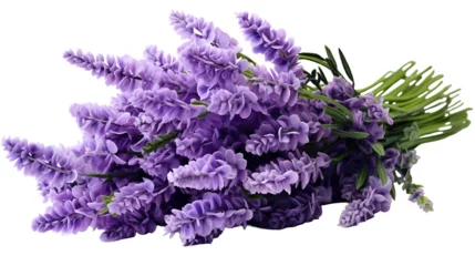 Rolgordijnen Bunch of lavender flowers on white background. lavender flowers on white background  © Saa