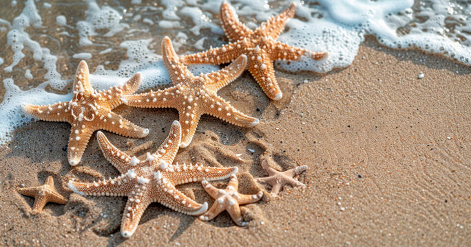 A group of starfish rest on a sandy beach. The bright orange creatures contrast with the beige sand, creating a striking image of marine life on the shore.