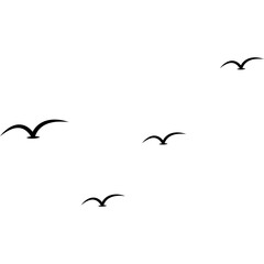 Flying Bird Silhouette