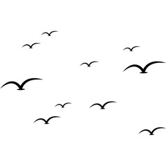 Flying Bird Silhouette