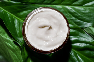 Natural cosmetic cream on green leaves