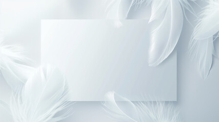 White background featuring a delicate white feather, ideal for a minimalist design with space for text or a message