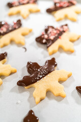 Making Star-Shaped Cookies with Chocolate and Peppermint Chips - 786259911