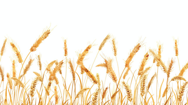 Isolated wheat image over a white background Vector