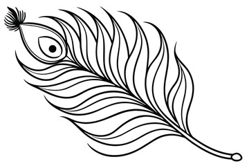 peacock feather line art, vector illustration