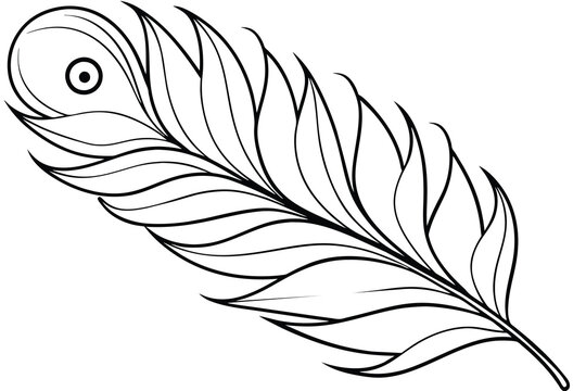 recommend clip art: peacock feather line art, vector illustration