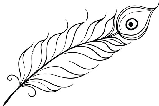 recommend clip art: peacock feather line art, vector illustration