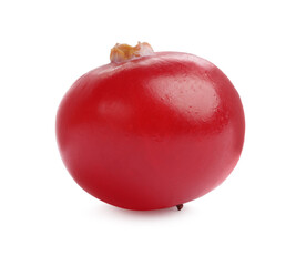 One fresh ripe cranberry isolated on white