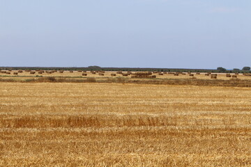 Fototapeta premium Beautiful landscape of pristine nature.