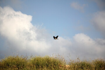 Beautiful landscape of pristine nature.