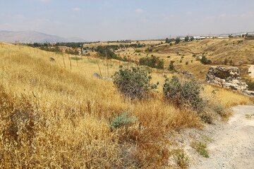 Beautiful landscape of pristine nature.