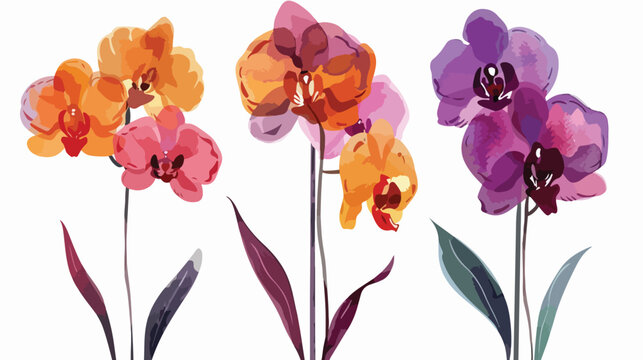 Minimalist Orchid Sketches minimalist design orchid illustration
