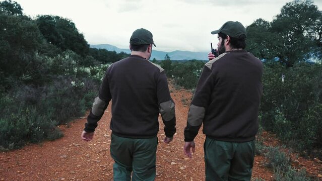 Forester talking on walkie talkie radio , monitoring national park and environmental protection at dusk