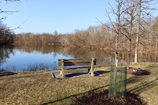 The old wood bench at the lake in the park.