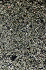 This is the sewer channel of almost dead, clusters of dead organic matter. Muddy water due to the abundance of hydrogen sulfide