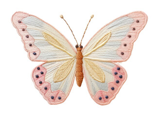 PNG Butterfly flying pattern animal insect
