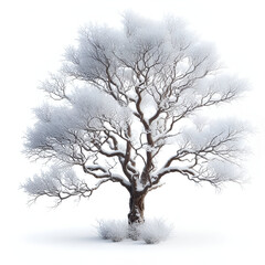 a tree with leaves covered in snow