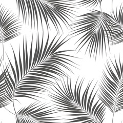 Abstract palm leaves seamless pattern on white background. 