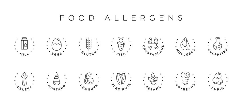 Food allergens vector icons set