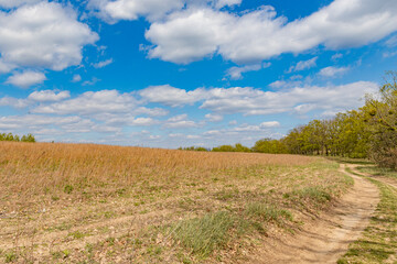 spring landscape, sunny spring day in the field, nature is waking up, white clouds float across the sky