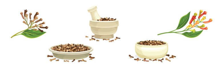 Dried Brown Cloves Condiment and Fragrant Spice Vector Set