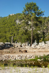 Ancient ruins Olympos city in CIrali, Antalya provence, Turkey