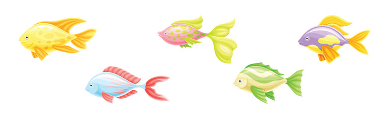 Tropical Fish as Aquarium Sea Pet Vector Set