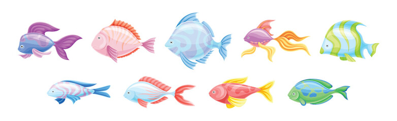 Fototapeta premium Tropical Fish as Aquarium Sea Pet Vector Set