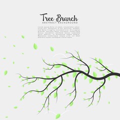 Tree Branch Isolated Background