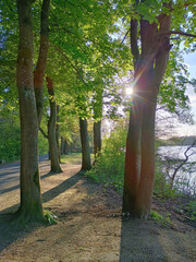 Am Ufer des Wolfssees an der Sechs-Seen-Platte in Duisburg