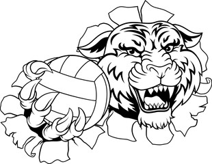 A tiger volleyball animal sports mascot holding a volley ball in his claw - obrazy, fototapety, plakaty