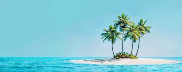 Fotobehang ile déserte recouverte de sable et de palmiers, fond bleu clair - mer turquoise © Fox_Dsign