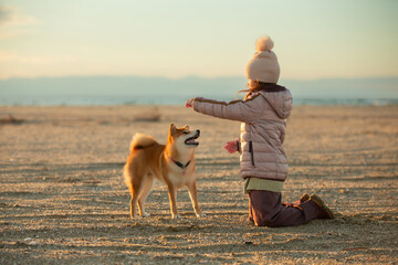 A young girl with a dog in nature. Kid girl playing with a shiba inu dog on the beach at sunset in Greece in winter - 786304934