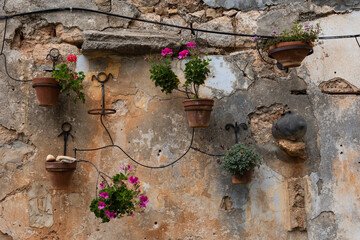 Colorful, flowering geranium plants in hanging terracotta pots along an aging, cracked stone wall.