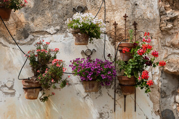 Colorful, flowering geranium plants in hanging terracotta pots along an aging, cracked stone wall.