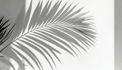 Ethereal Elegance: Abstract Palm Leaf Silhouette