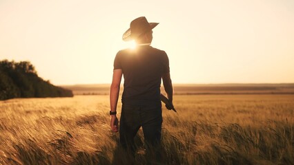 Agriculture. a farmer with a laptop walks in an agricultural field of wheat at sunset. agriculture...