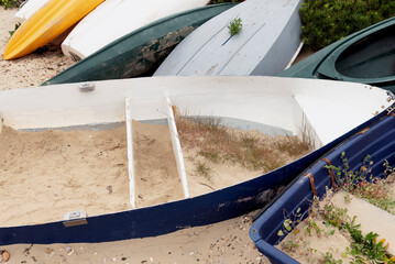 Plants growing on boats left on the beach