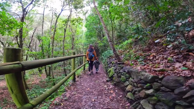 A mother with her son on a path in the Laurisilva forest of Los tilos de Moya, Gran Canaria