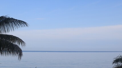 Fototapeta premium High angle coconut tree at daytime, Blue sky tree, tree top facing blue sky and sea at sunny day. Indonesia's nature