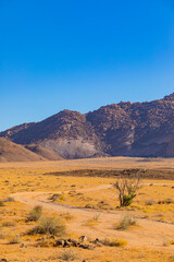 Fototapeta na wymiar Arid landscape in the Richtersveld National Park